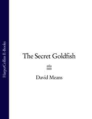бесплатно читать книгу The Secret Goldfish автора David Means