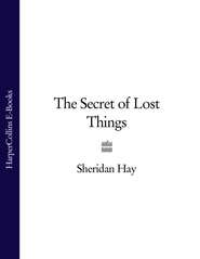 бесплатно читать книгу The Secret of Lost Things автора Sheridan Hay