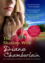 бесплатно читать книгу The Shadow Wife автора Diane Chamberlain