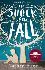 бесплатно читать книгу The Shock of the Fall автора Nathan Filer