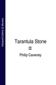 бесплатно читать книгу The Tarantula Stone автора Philip Caveney