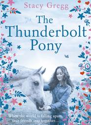 бесплатно читать книгу The Thunderbolt Pony автора Stacy Gregg