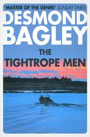 бесплатно читать книгу The Tightrope Men автора Desmond Bagley