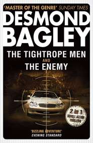 бесплатно читать книгу The Tightrope Men / The Enemy автора Desmond Bagley