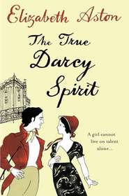бесплатно читать книгу The True Darcy Spirit автора Elizabeth Aston