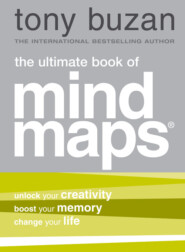 бесплатно читать книгу The Ultimate Book of Mind Maps автора Тони Бьюзен
