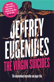 бесплатно читать книгу The Virgin Suicides автора Jeffrey Eugenides