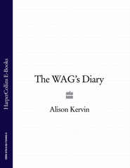 бесплатно читать книгу The WAG’s Diary автора Alison Kervin