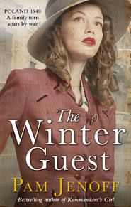 бесплатно читать книгу The Winter Guest автора Пэм Дженофф