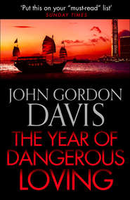 бесплатно читать книгу The Year of Dangerous Loving автора John Davis