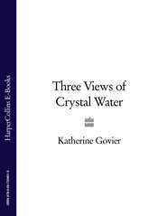 бесплатно читать книгу Three Views of Crystal Water автора Katherine Govier