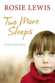 бесплатно читать книгу Two More Sleeps автора Rosie Lewis