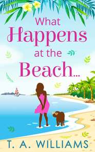 бесплатно читать книгу What Happens at the Beach... автора Т. А. Уильямс