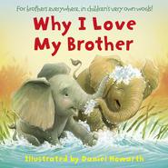 бесплатно читать книгу Why I Love My Brother автора Daniel Howarth