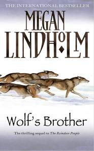 бесплатно читать книгу Wolf’s Brother автора Megan Lindholm