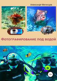 бесплатно читать книгу Фотографирование под водой автора Александр Матанцев