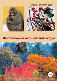 бесплатно читать книгу Фотографирование природы автора Александр Матанцев