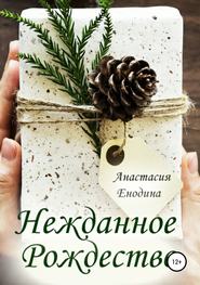 бесплатно читать книгу Нежданное Рождество автора Анастасия Енодина