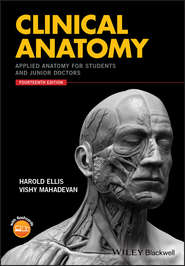 бесплатно читать книгу Clinical Anatomy. Applied Anatomy for Students and Junior Doctors автора Harold Ellis