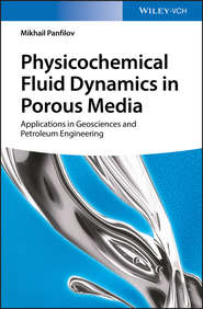 бесплатно читать книгу Physicochemical Fluid Dynamics in Porous Media. Applications in Geosciences and Petroleum Engineering автора Mikhail Panfilov