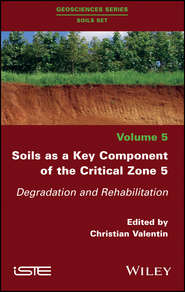 бесплатно читать книгу Soils as a Key Component of the Critical Zone 5. Degradation and Rehabilitation автора Christian Valentin