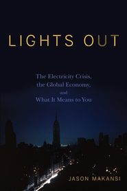 бесплатно читать книгу Lights Out. The Electricity Crisis, the Global Economy, and What It Means To You автора Jason Makansi