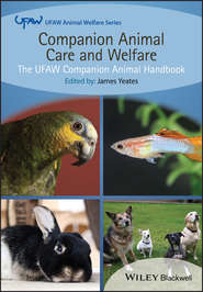 бесплатно читать книгу Companion Animal Care and Welfare. The UFAW Companion Animal Handbook автора James Yeates