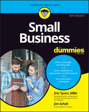 бесплатно читать книгу Small Business For Dummies автора Eric Tyson