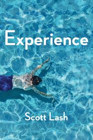 бесплатно читать книгу Experience. New Foundations for the Human Sciences автора Scott Lash