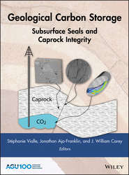 бесплатно читать книгу Geological Carbon Storage. Subsurface Seals and Caprock Integrity автора Jonathan Ajo-Franklin