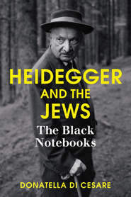 бесплатно читать книгу Heidegger and the Jews. The Black Notebooks автора Donatella Cesare
