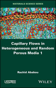 бесплатно читать книгу Capillary Flows in Heterogeneous and Random Porous Media автора Rachid Ababou