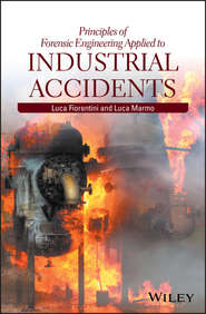 бесплатно читать книгу Principles of Forensic Engineering Applied to Industrial Accidents автора Luca Marmo