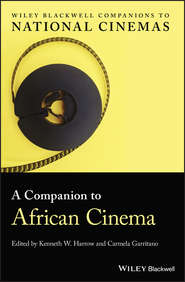 бесплатно читать книгу A Companion to African Cinema автора Carmela Garritano