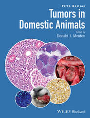 бесплатно читать книгу Tumors in Domestic Animals автора Donald Meuten