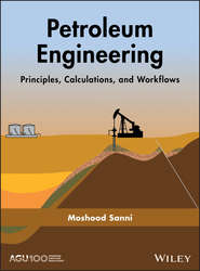 бесплатно читать книгу Petroleum Engineering: Principles, Calculations, and Workflows автора Moshood Sanni