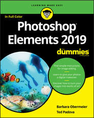 бесплатно читать книгу Photoshop Elements 2019 For Dummies автора Barbara Obermeier