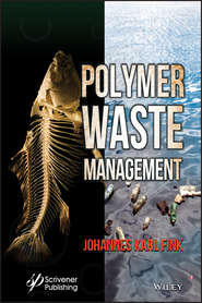 бесплатно читать книгу Polymer Waste Management автора Johannes Fink