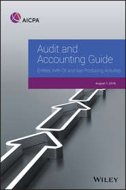 бесплатно читать книгу Audit and Accounting Guide: Entities With Oil and Gas Producing Activities, 2018 автора AICPA 