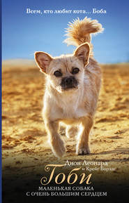 бесплатно читать книгу Гоби – маленькая собака с очень большим сердцем автора Крейг Борлас