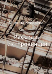 бесплатно читать книгу Рассказы из провинции автора Марина Ковалёва