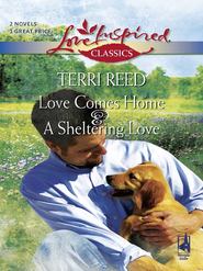 бесплатно читать книгу Love Comes Home and A Sheltering Love: Love Comes Home / A Sheltering Love автора Terri Reed