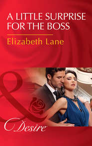 бесплатно читать книгу A Little Surprise For The Boss автора Elizabeth Lane