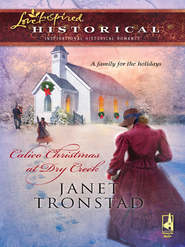 бесплатно читать книгу Calico Christmas at Dry Creek автора Janet Tronstad