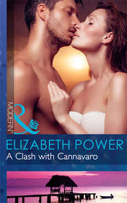 бесплатно читать книгу A Clash with Cannavaro автора Elizabeth Power