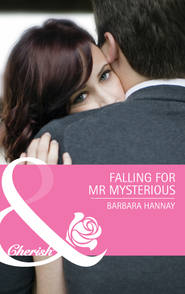 бесплатно читать книгу Falling for Mr. Mysterious автора Barbara Hannay