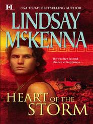 бесплатно читать книгу Heart of the Storm автора Lindsay McKenna