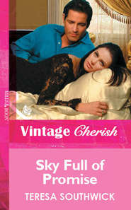 бесплатно читать книгу Sky Full of Promise автора Teresa Southwick