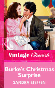 бесплатно читать книгу Burke's Christmas Surprise автора Sandra Steffen