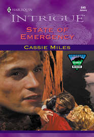 бесплатно читать книгу State Of Emergency автора Cassie Miles